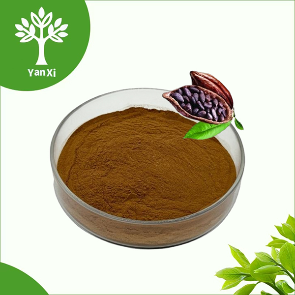 Pure Cocoa Powder Bulk Pure Cocoa Powder Bulk